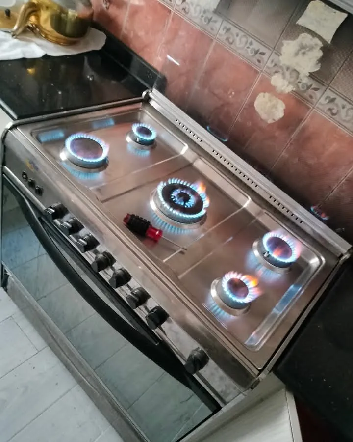 فرن منزلي قيد الفحص يبرز أهمية صيانة افران للحفاظ على الأداء والسلامة